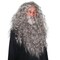 Grey Wig and Beard - Long Gray Wizard Wig and Beard Costume Accessory for Adults and Kids